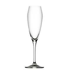 Bravissimo Flute 8.5oz / 240ml