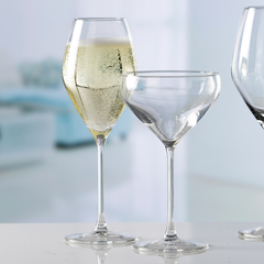 Doyenne Sparkling Wine Glasses 12oz / 340ml