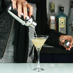 Stainless Steel Mini Cocktail Shaker 10oz