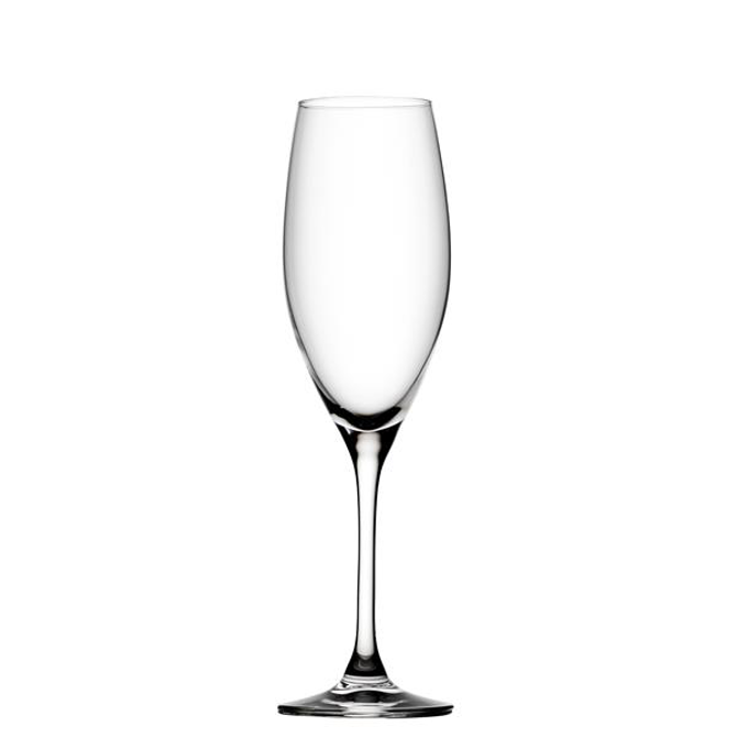 Edition Large Flute 8oz / 230ml