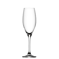 Edition Large Flute 8oz / 230ml