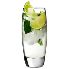 Endessa Hiball Tumblers 10.25oz / 290ml