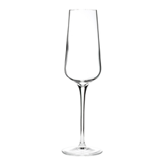 Intenso Flute 8oz / 240ml