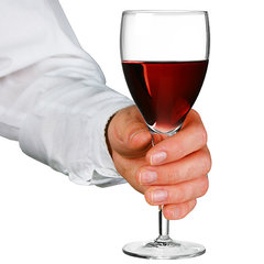 Michelangelo Masterpiece Red Wine Glasses 8oz LCE at 175ml