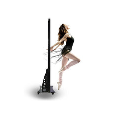 PS Model