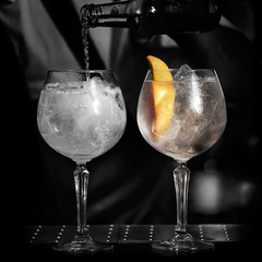 Speakeasy Gin Cocktail Glasses 20.5oz / 585ml