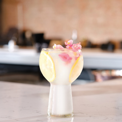 Symbio Gin Goblet 16.75oz / 480ml