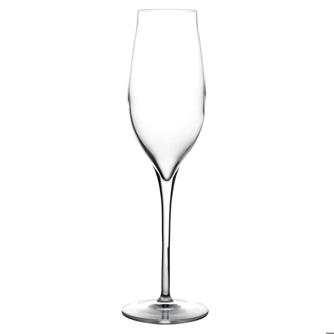 Vinea Champagne Flutes 7oz / 200ml