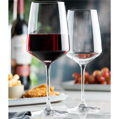 Vista Champagne Flute 8.75oz / 250ml